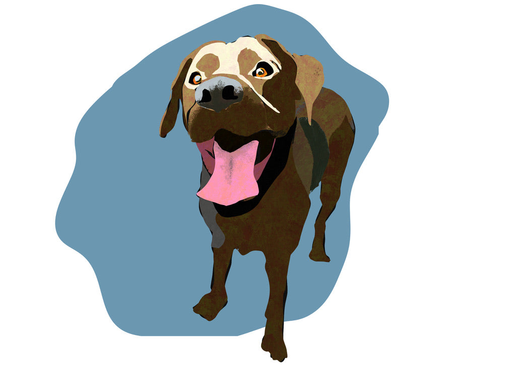 Hand-Drawn Pet Portrait Print & Digital File | Custom Dog or Cat Illustration | Personalized Pet Art Gift | AI-Free Fine Art