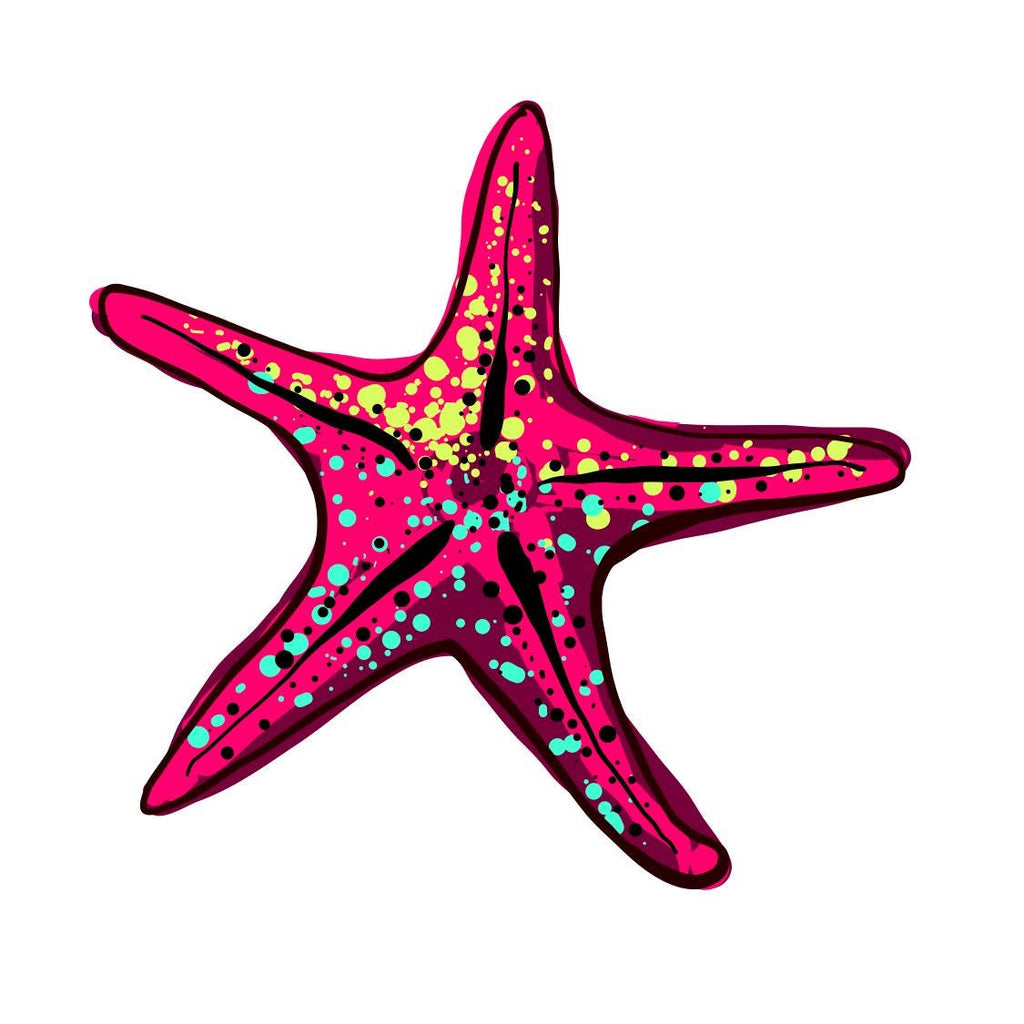 Coastal Coaster Set: Nautical Starfish, Shell, and Sand Dollar Designs