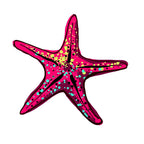 Coastal Coaster Set: Nautical Starfish, Shell, and Sand Dollar Designs