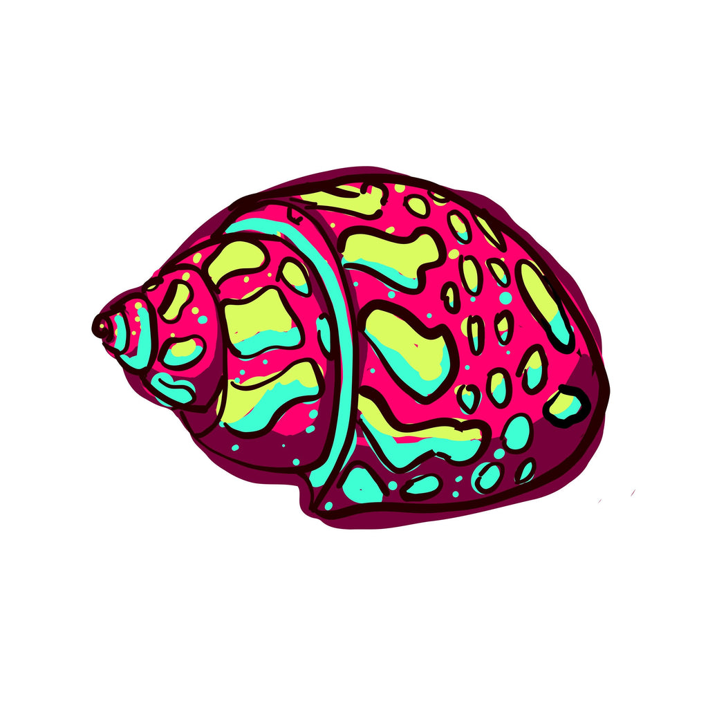 Coastal Coaster Set: Nautical Starfish, Shell, and Sand Dollar Designs