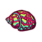 Coastal Coaster Set: Nautical Starfish, Shell, and Sand Dollar Designs